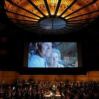 Stumm- und Tonfilmprojekte